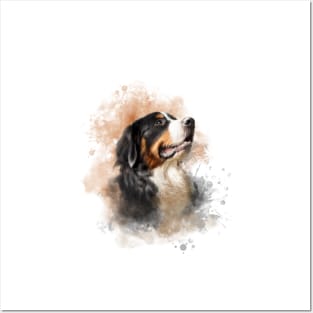 Bernese Mountain Dog. Posters and Art